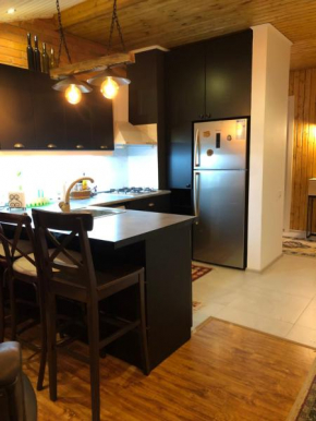 Didveli Residence, Apartment with Mountain View Bakuriani